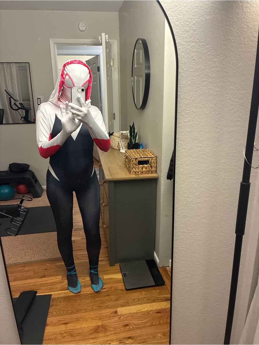 Spiderman and ghost spider costume